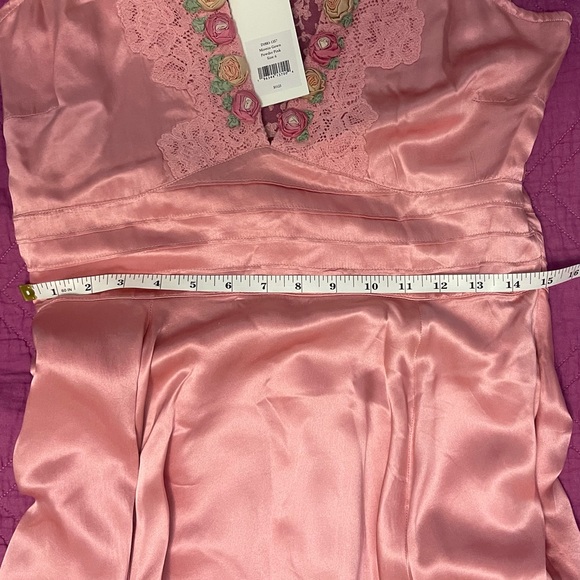 LoveShakeFancy Mirette Silk Gown SZ 6 in Powder Pink - Picture 16 of 16